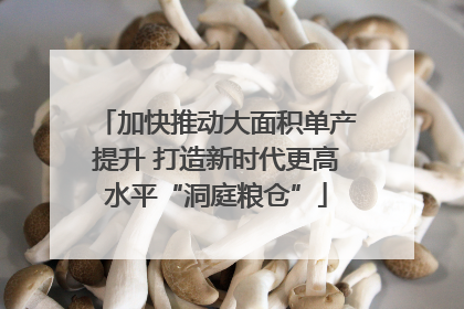 加快推动大面积单产提升 打造新时代更高水平“洞庭粮仓”