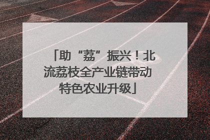 助“荔”振兴！北流荔枝全产业链带动特色农业升级