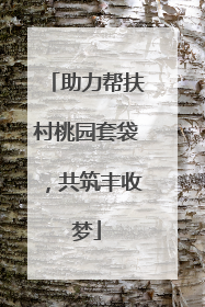 助力帮扶村桃园套袋，共筑丰收梦