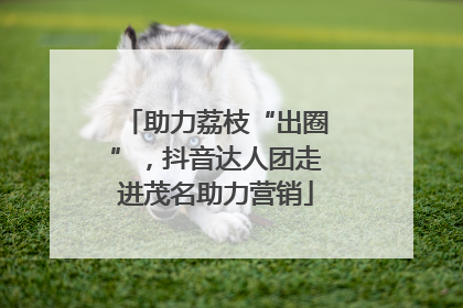 助力荔枝“出圈”，抖音达人团走进茂名助力营销