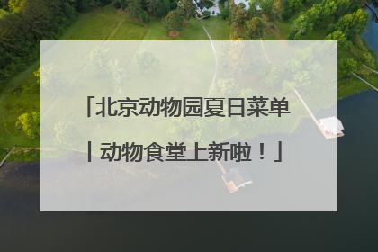 北京动物园夏日菜单丨动物食堂上新啦！
