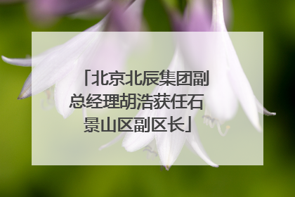 北京北辰集团副总经理胡浩获任石景山区副区长