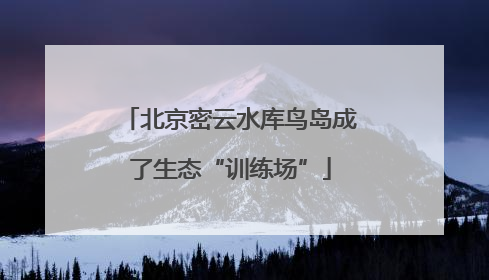 北京密云水库鸟岛成了生态“训练场”