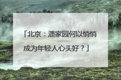北京：潘家园何以悄悄成为年轻人心头好？