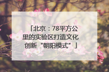北京：78平方公里的实验区打造文化创新“朝阳模式”