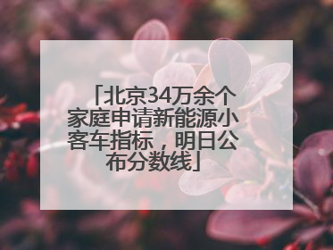 北京34万余个家庭申请新能源小客车指标，明日公布分数线