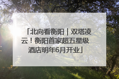 北向看衡阳｜双塔凌云！衡阳首家超五星级酒店明年6月开业