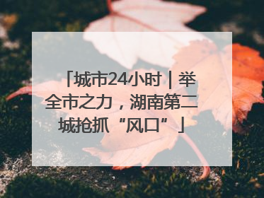 城市24小时｜举全市之力，湖南第二城抢抓“风口”