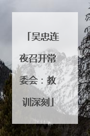 吴忠连夜召开常委会：教训深刻
