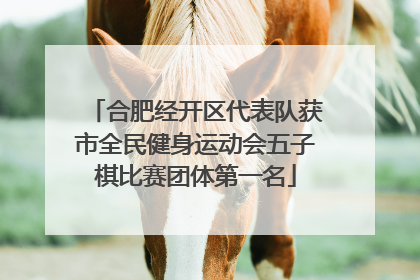 合肥经开区代表队获市全民健身运动会五子棋比赛团体第一名