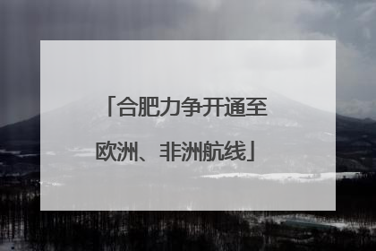 合肥力争开通至欧洲、非洲航线