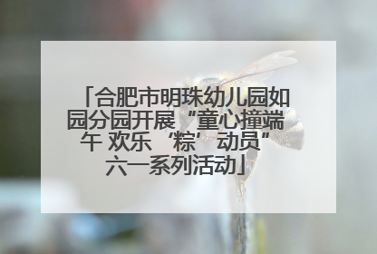 合肥市明珠幼儿园如园分园开展“童心撞端午 欢乐‘粽’动员”六一系列活动