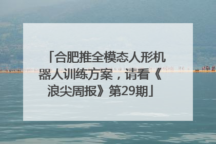 合肥推全模态人形机器人训练方案，请看《浪尖周报》第29期