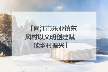 同江市乐业镇东风村以文明创建赋能乡村振兴