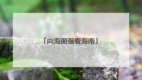 向海图强看海南
