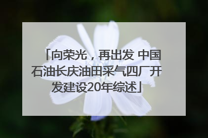 向荣光，再出发 中国石油长庆油田采气四厂开发建设20年综述