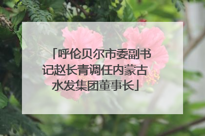 呼伦贝尔市委副书记赵长青调任内蒙古水发集团董事长