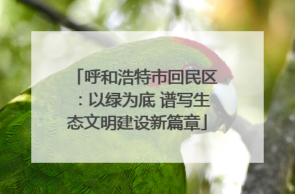呼和浩特市回民区：以绿为底 谱写生态文明建设新篇章