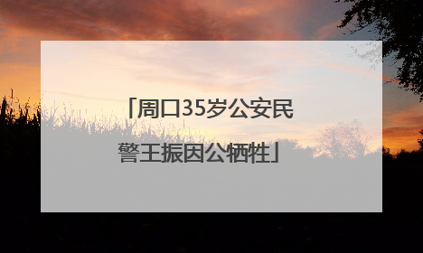 周口35岁公安民警王振因公牺牲