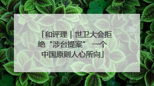和评理｜世卫大会拒绝“涉台提案” 一个中国原则人心所向