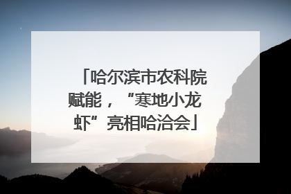 哈尔滨市农科院赋能，“寒地小龙虾”亮相哈洽会