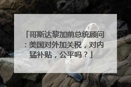 哥斯达黎加前总统顾问：美国对外加关税，对内猛补贴，公平吗？