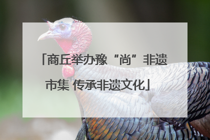 商丘举办豫“尚”非遗市集 传承非遗文化