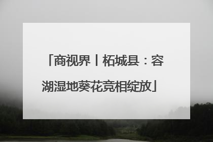 商视界丨柘城县：容湖湿地葵花竞相绽放