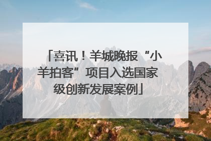 喜讯！羊城晚报“小羊拍客”项目入选国家级创新发展案例