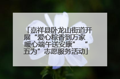 嘉祥县卧龙山街道开展“爱心粽香到万家 暖心端午送安康” “五为”志愿服务活动
