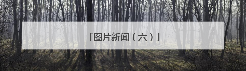 图片新闻（六）