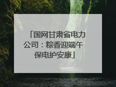 国网甘肃省电力公司：粽香迎端午 保电护安康