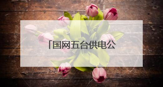 国网五台供电公司：迎战高温负荷 力保电力供应