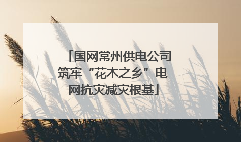 国网常州供电公司筑牢“花木之乡”电网抗灾减灾根基