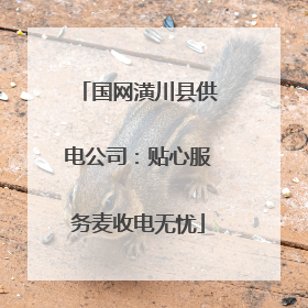 国网潢川县供电公司：贴心服务麦收电无忧