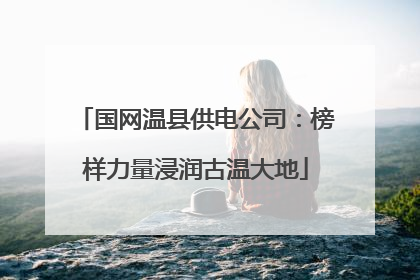 国网温县供电公司：榜样力量浸润古温大地