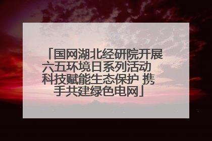 国网湖北经研院开展六五环境日系列活动 科技赋能生态保护 携手共建绿色电网