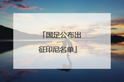 国足公布出征印尼名单
