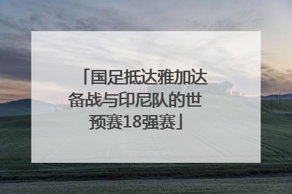 国足抵达雅加达备战与印尼队的世预赛18强赛