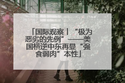 国际观察丨“极为恶劣的先例”——美国横逆中东再显“强食弱肉”本性