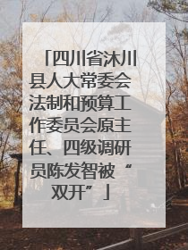 四川省沐川县人大常委会法制和预算工作委员会原主任、四级调研员陈发智被“双开”