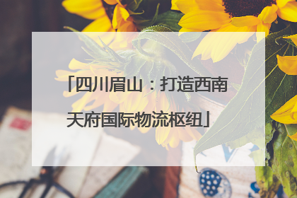 四川眉山：打造西南天府国际物流枢纽
