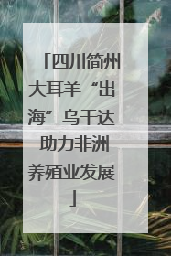 四川简州大耳羊“出海”乌干达 助力非洲养殖业发展