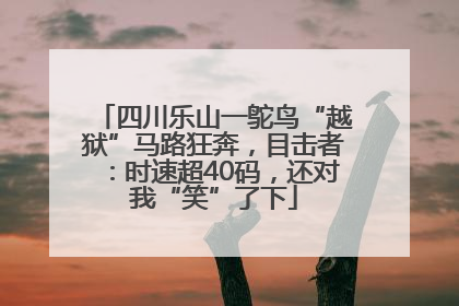 四川乐山一鸵鸟“越狱”马路狂奔，目击者：时速超40码，还对我“笑”了下