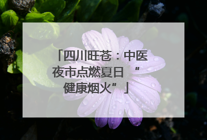 四川旺苍：中医夜市点燃夏日 “健康烟火”