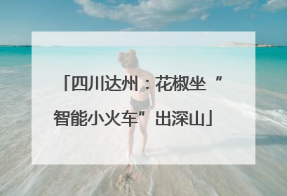 四川达州：花椒坐“智能小火车”出深山