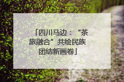 四川马边：“茶旅融合”共绘民族团结新画卷