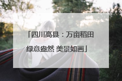 四川高县：万亩稻田绿意盎然 美景如画