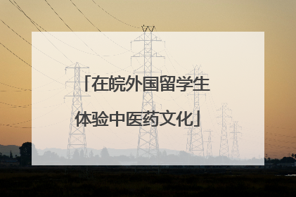 在皖外国留学生体验中医药文化