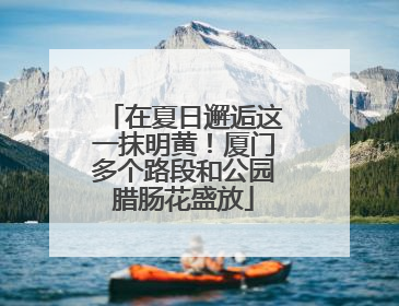 在夏日邂逅这一抹明黄！厦门多个路段和公园腊肠花盛放